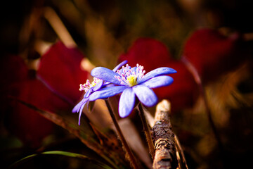 природа и заброшенное