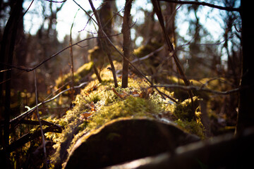 природа и заброшенное