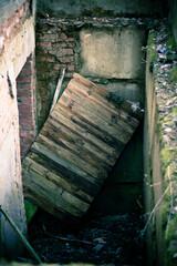 природа и заброшенное