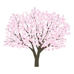 Fototapeta premium 桜のイラスト