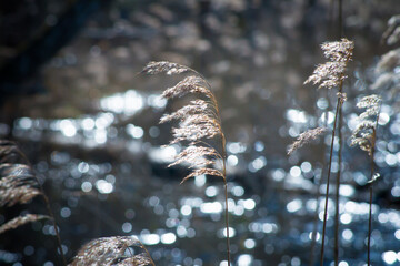 Природа и заброшенное