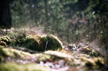 Природа и заброшенное