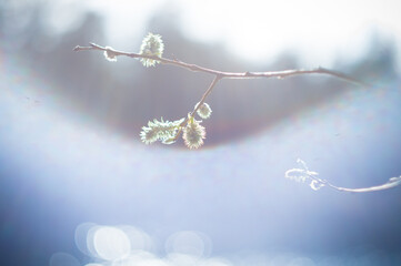 Природа и заброшенное