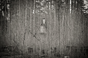 Природа и заброшенное