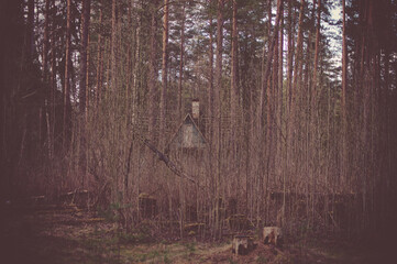 Природа и заброшенное