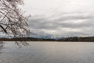 Blick auf verschneite Berge  im Hintergrund mit Abtsee und Baum im Vordergrund