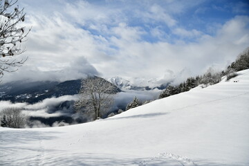 Fototapeta na wymiar Paysage d'hiver - Alpes françaises