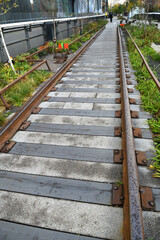Famous High Line, elevated linear park, greenway and rail trail created on former New York Central Railroad spur on west side of Manhattan in New York City