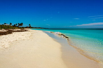 Fototapeta na wymiar Caribbean beach at Bahia Honda State Park in the Florida Keys.