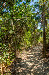 Silver Palm Trail on the beach at Bahia Honda State Park in Florida.