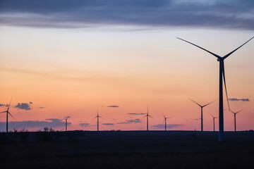 Fototapeta premium windmill sunset