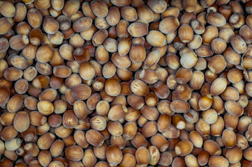 background of hazelnuts