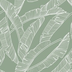 Cotton fabric Botanical seamless pattern, hand drawn line art banana leaves on green. Printable wallpaper or textile illustration.