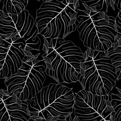Floral seamless pattern, black line split-leaf Monstera plant background, line art ink drawing.
