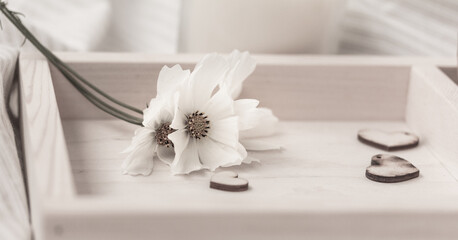 White flowers, hearts on a wooden tray, copy space.