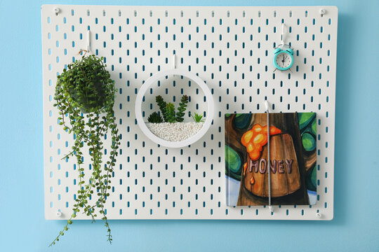 Peg Board With Houseplants And Book Hanging On Blue Wall