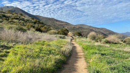 Hiking trail through grasslands and shrubs in Point Mugu State Park and Santa Monica Mountains, California. Lots of small clouds in sky