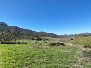 View across grasslands to Santa Monica Mountains near Newbury Park, California