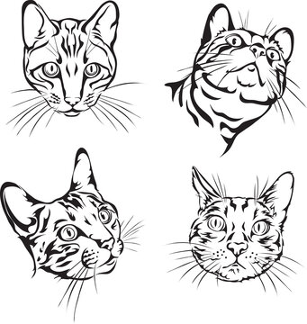 Cat, Bengal cat, portrait, 4 variants of the image, vector, illustration