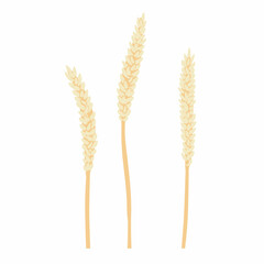 Spikelets, herbal plant in flat simple style. Colored flat vector illustration of wildflower with leaf isolated on white background