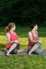 2 Frauen machen Yoga im Park umdrehen