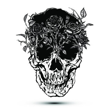 Skull Roses. Black and white wild roses growing on a skull head. Vintage tattoo style vector illustration on white background.