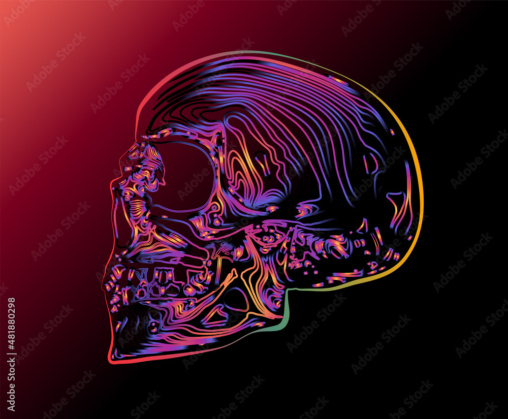 Poster colorful vector blue to red gradient line skull isolated on dark background.