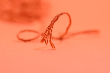 A torn rope with an uneven end. Orange rope on orange background. 