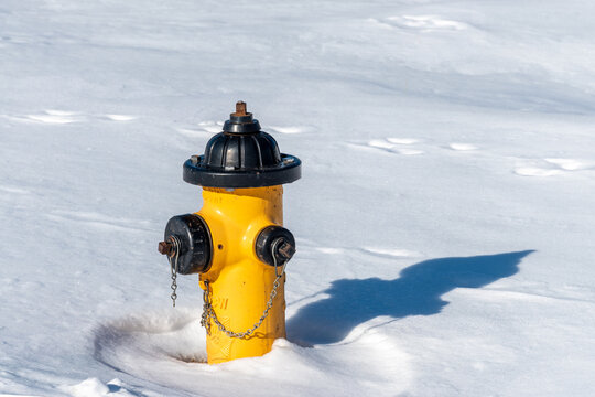 A yellow and Black fire hydrant in the snow.  Winter in upstate NY.  The yellow hydrant is in start contrast to the white snow.