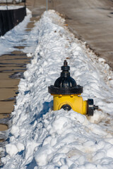 A yellow and Black fire hydrant in the snow.  Winter in upstate NY.  The yellow hydrant is in start contrast to the white snow.