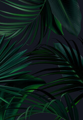 Obraz na płótnie Canvas Tropical elegant background arranged from exotic emerald leaves