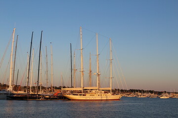 Obraz premium yachts in the harbor