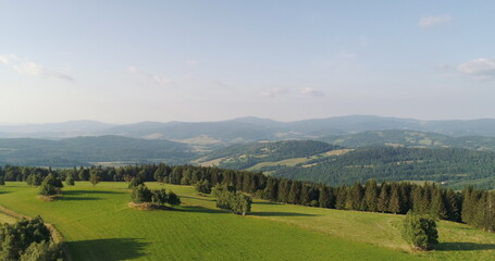 Fototapeta na wymiar Blue Sky and Forest Drone Shot from Above. Beautiful Landscape View.