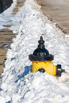 A yellow and Black fire hydrant in the snow.  Winter in upstate NY.  The yellow hydrant is in start contrast to the white snow.