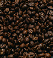 coffee beans texture closeup