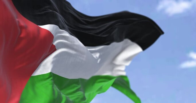 Detail of the national flag of Palestine waving in the wind on a clear day