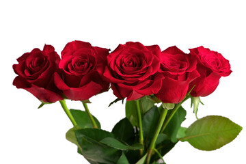Bouquet of Red Roses in a Vase Isolated on a White Background
