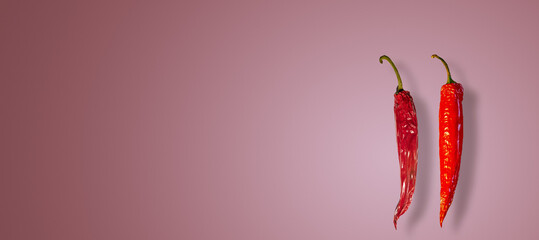 Banner with a pair red and hot pepperoni paprika, one fresh another is old and dried displayed with its shadow at pink gradient background with copy space for text. Concept contrast of hot products.