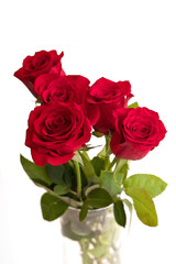 Bouquet of Red Roses in a Vase Isolated on a White Background