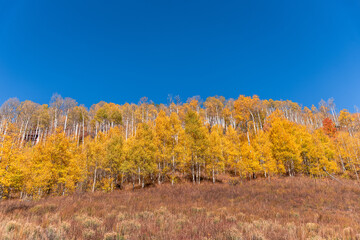 Fototapeta premium Fall Hike in Colorado on Vail Pass