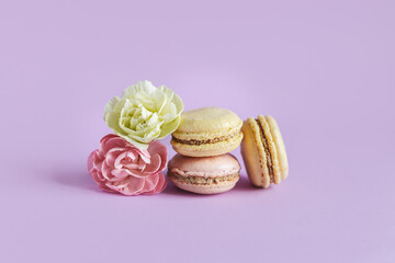 Tasty french macaroons with tender flower on a violet pastel background.