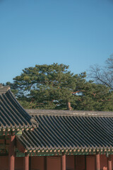 한국 전통 궁궐