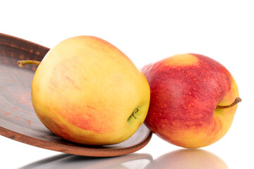Two red juicy apples on a clay plate, macro, isolated on white.