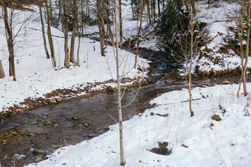 Mountain stream against forest in winter