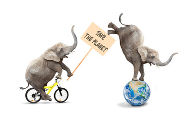 Baby Elephant riding on bicycle with protest banner. Save The Planet concept. Animals for sustainability.