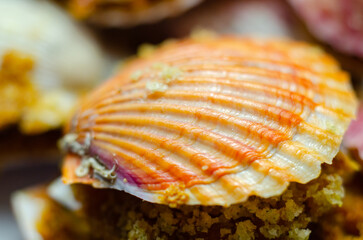 Mini coquilles St. Jacques, Natural scallop shells filled with Patagonian scallops and Thermidor sauce topped with a ciabatta breadcrumb topping
