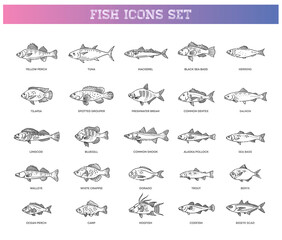 Large set of fish. Types marine, ocean fish and Freshwater fish