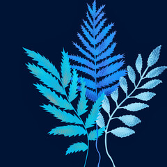 Błękitne niebieskie liście motyw roślinny na granatowym tle - obrazy, fototapety, plakaty