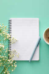 Blank notebook, pen and gypsophila flowers on color background
