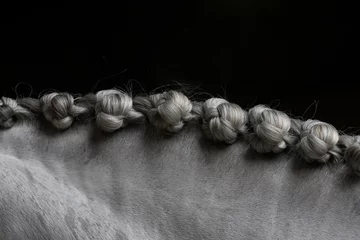 Fotobehang Detail of the neck with bottom braids of a grey Spanish horse before competing © Azahara